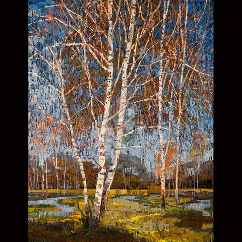Sunlit Birch