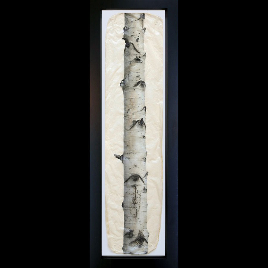 Aspen on gampi paper in black frame by artist Pete Zaluzec