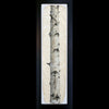Aspen on gampi paper in black frame by artist Pete Zaluzec