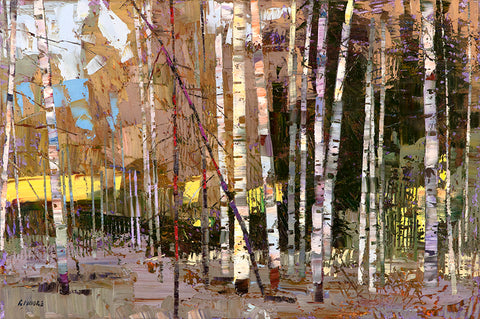 Aspen Rhythms