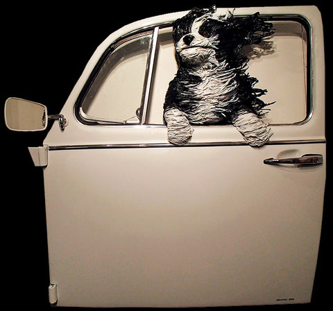 Sheepdog in a White VW Door