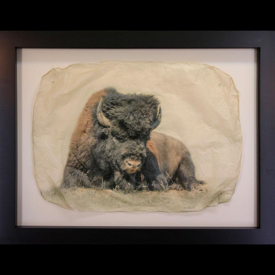 Sitting Bull gampi photo print by Pete Zaluzec