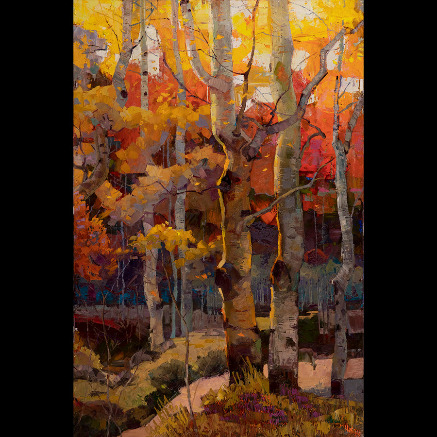 Artist-Robert-Moore-Sunset-Aspen-Trees-Colorado-Art