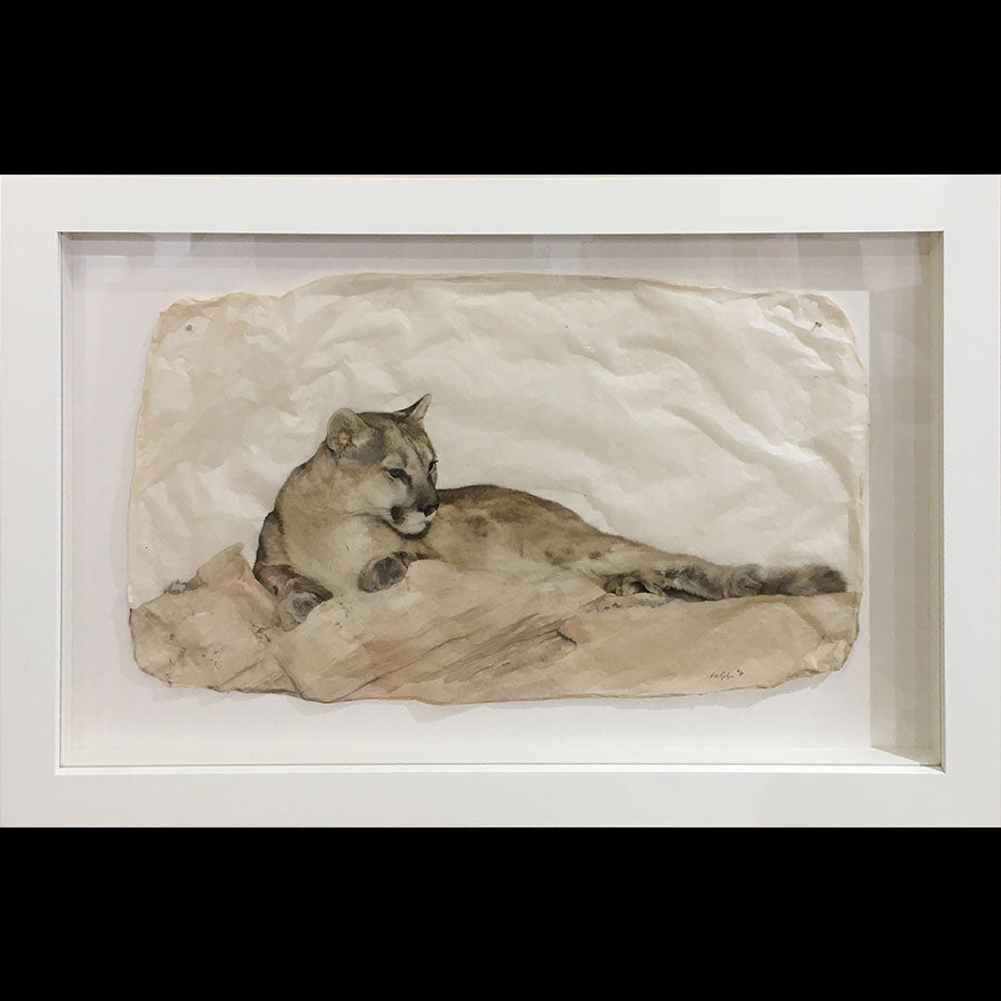 Cougar 3 gampi by Pete Zaluzec