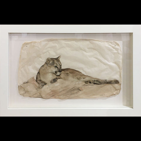 Cougar #3