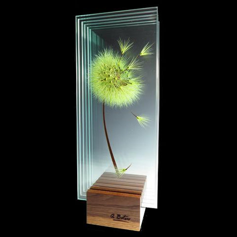 Artist-Ana-Maria-Botero-Contemporary-Glass-Sculpture-Illusion-Flower-Art-for-Sale