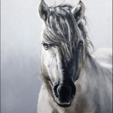 Wild White