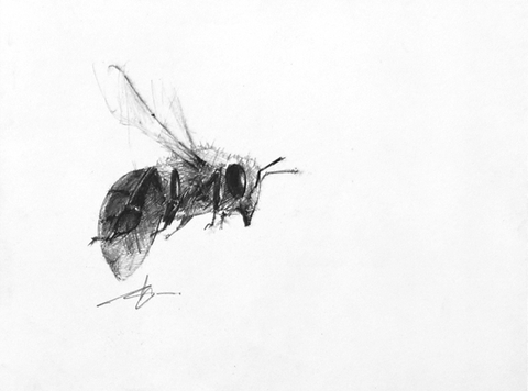Bumble - A