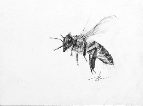 Bumble - B