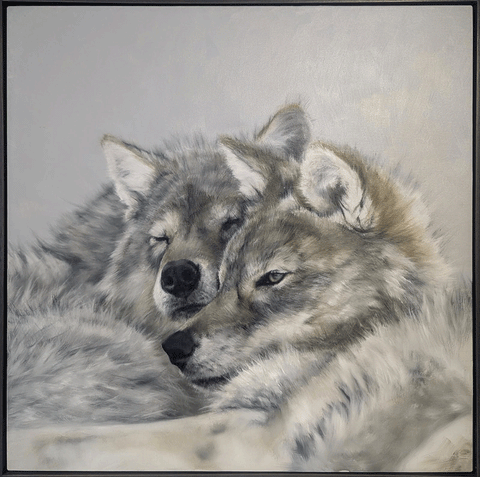 A Watchful Eye