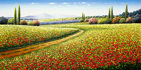 Along the Red Poppy Fields