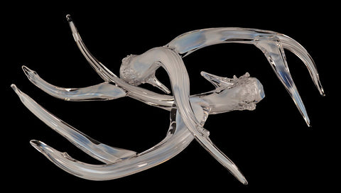 Antler Set Alibaster