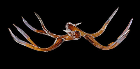 Antler Set Amber with Metallic Tips
