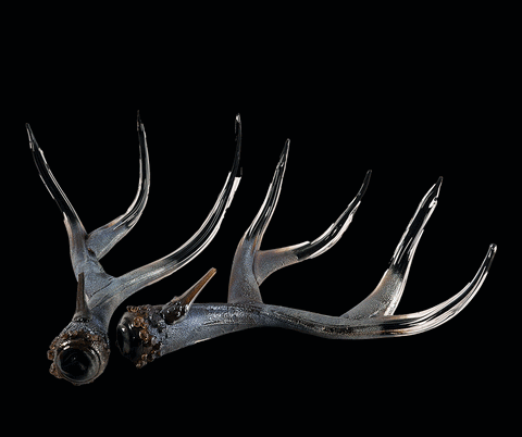 Black with Metallic Body - Large Antler Set