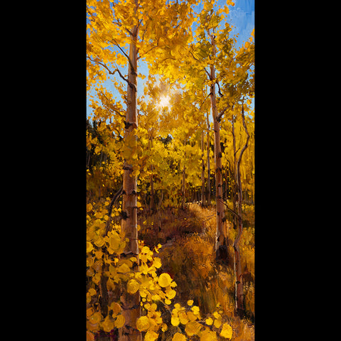 Autumn's Light