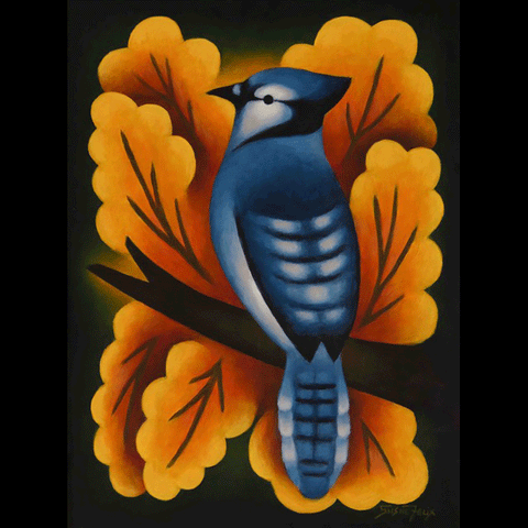 Blue Jay Joy