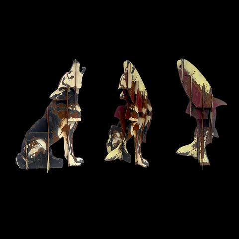 Coyote Trout