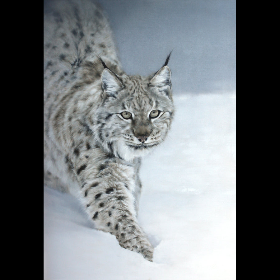 Doyle Hostetler Original Art for Sale Wildlife Artist Lynx Painting 