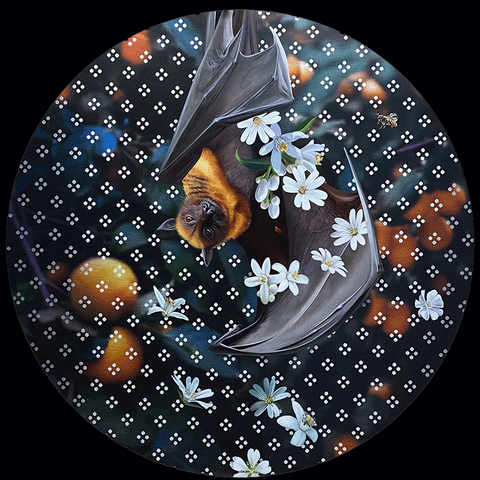 Flora and Fauna