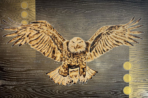 Free to Roam (Eagle)