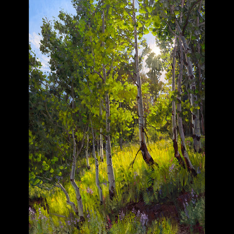 Light's Immersion