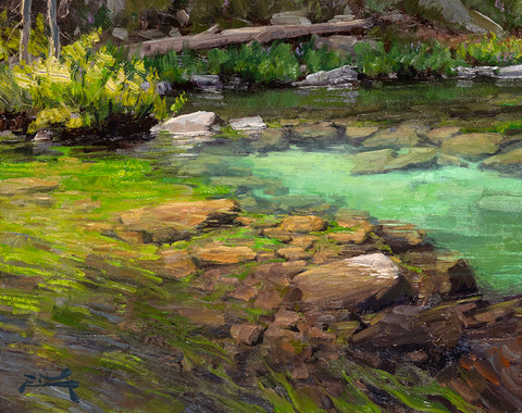 Lush Waters