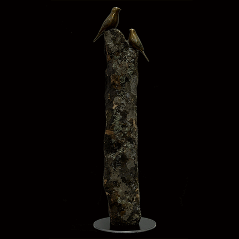 Natures Perch 16