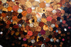 New-Persepective-wood-artist-christopher-cantwell