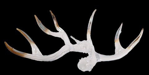 Antler Set Opaline with Metalic Tips