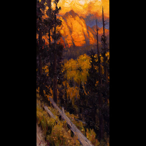 Rocky Mountain Charm