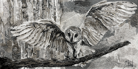 Spread Your Wings
