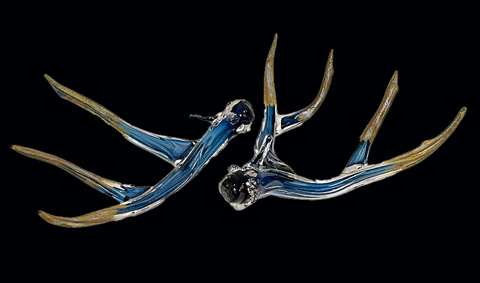Antler Set with Steel Blue and Metallic Tips