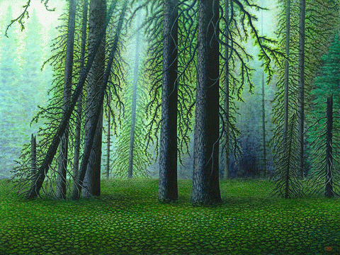 The Forest Primeval