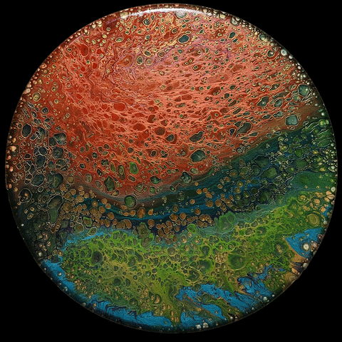 The Polarity