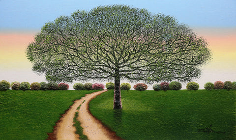 Under the Shade Tree