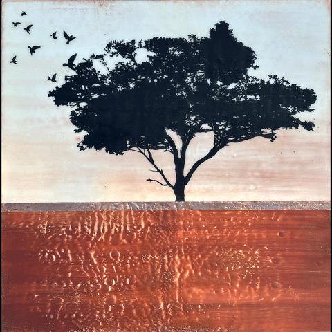 Vermillion Flight