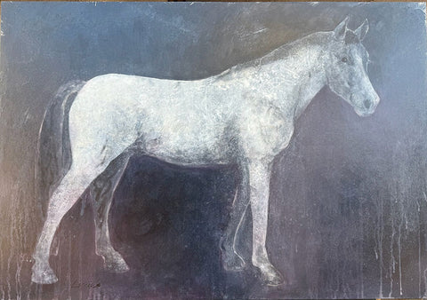 Warmblood in White and Black