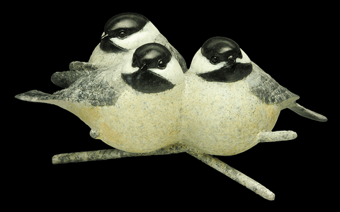 Wild Chicks