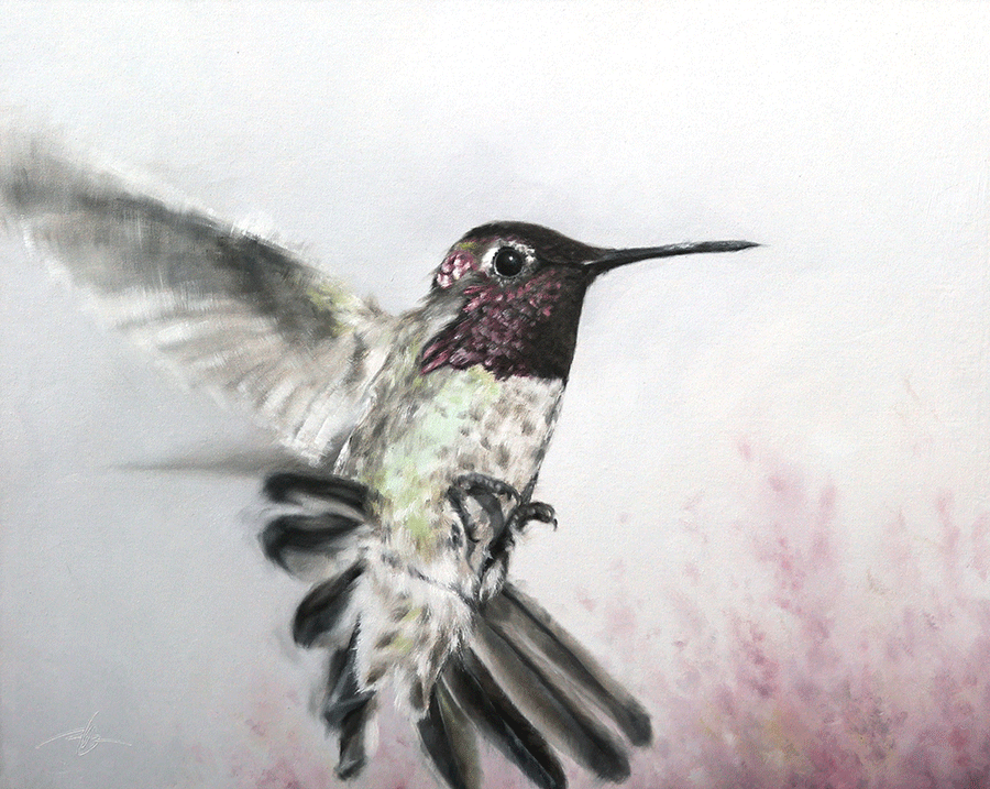 anna's-garden-doyle-hostetler-hummingbird