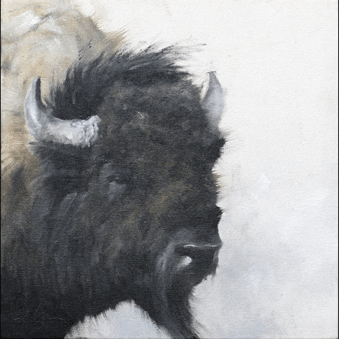 Bison Study I