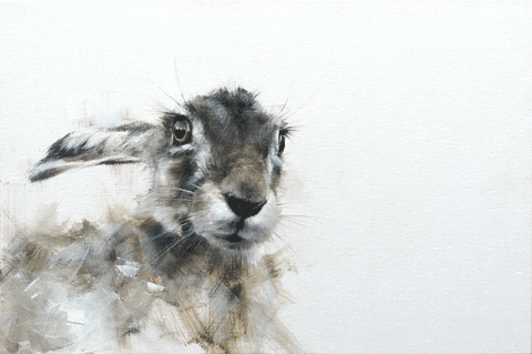 Doyle Rabbit Design Doyle Hostetler - Wildlife Painter - Raitman Art Galleries