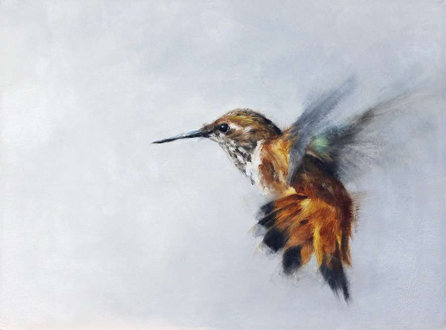 pure-grace-doyle-hostetler-hummingbird