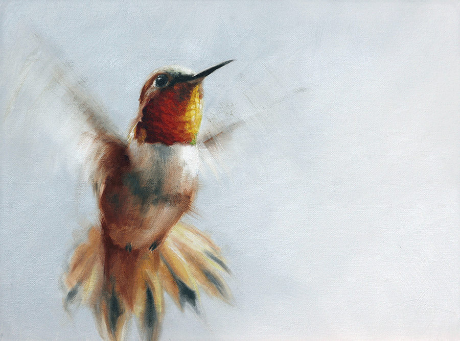 show-off-doyle-hostetler-hummingbird