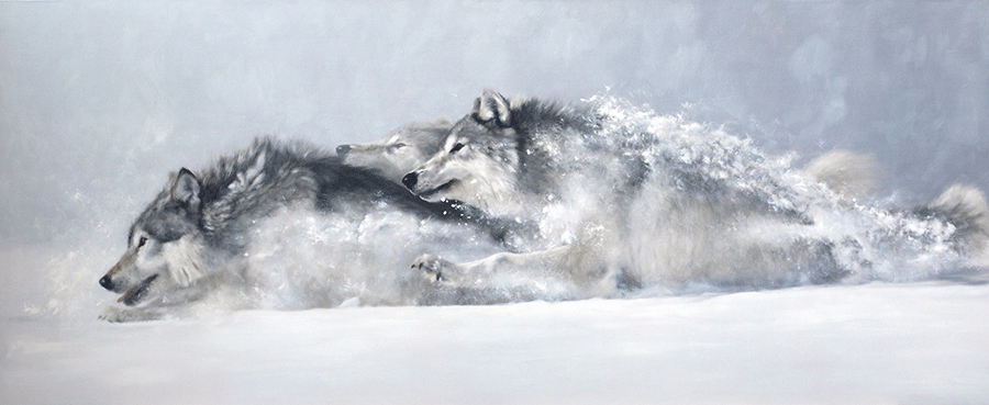 the-rush-of-winter-doyle-hostetler-wolf