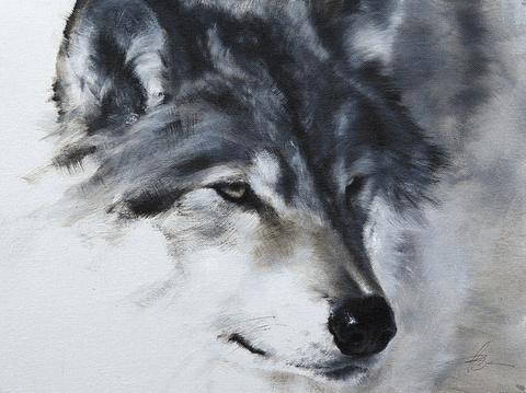Wolf Portrait II