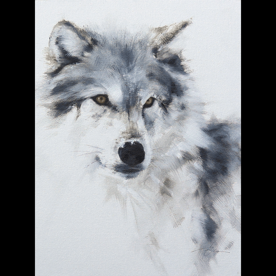 wolf-portrait-III-doyle-hostetler-wolf