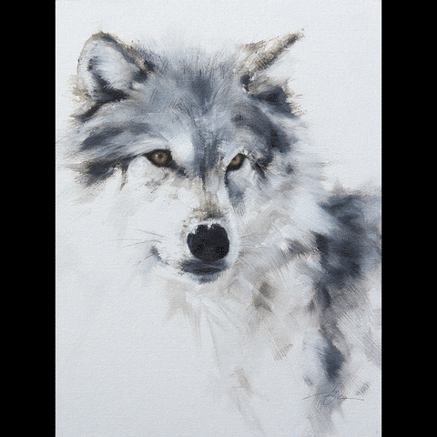 Wolf Portrait III