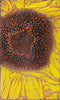 Houston Llew 025 Points of Light retired Spiritile