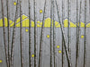 Summit (Yellow)