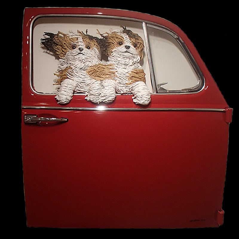 Two Shih Tzus in a Red VW Door